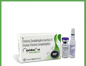 Bayer Zydus HCG 5000iu + Ampule Bayer Zydus HCG 5000iu + Ampule