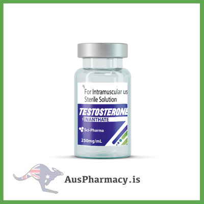 Educational image showing a Sci-Pharma Testosterone Enanthate vial beside a molecular diagram of testosterone esterification, designed for endocrine and pharmacology study.