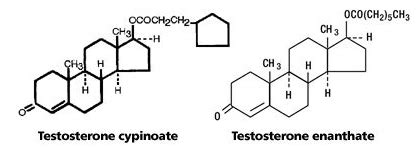 Ester-oids: Understand Esters, Understand Gains