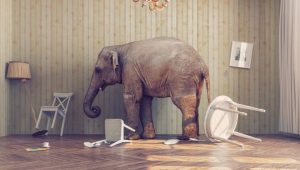 Why Oral Only Cycles Don’t Stack Up